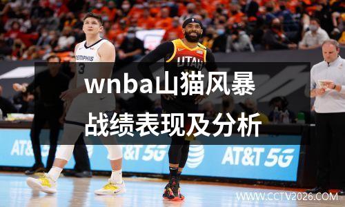 wnba山猫风暴战绩表现及分析