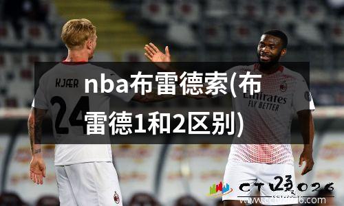 nba布雷德索(布雷德1和2区别)