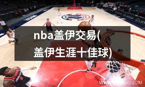 nba盖伊交易(盖伊生涯十佳球)