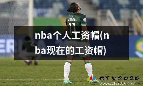 nba个人工资帽(nba现在的工资帽)