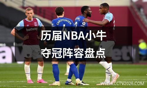 历届NBA小牛夺冠阵容盘点