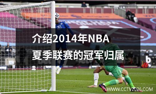 介绍2014年NBA夏季联赛的冠军归属