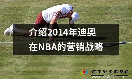 介绍2014年迪奥在NBA的营销战略