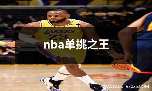 nba单挑之王