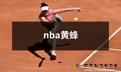 nba黄蜂