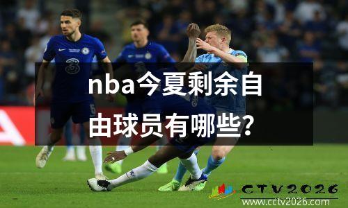 nba今夏剩余自由球员有哪些？