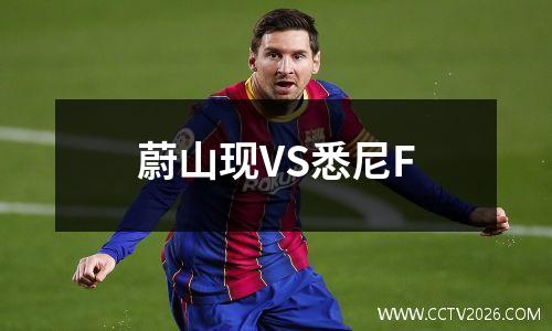 蔚山现VS悉尼F
