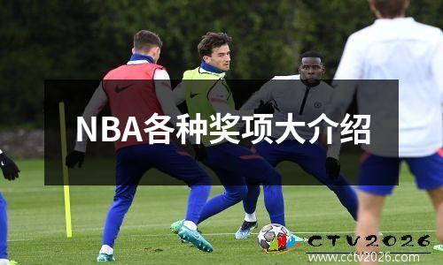 NBA各种奖项大介绍
