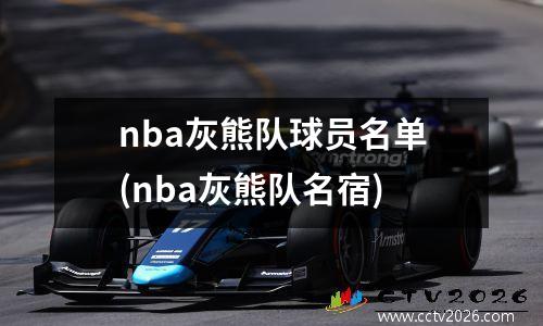 nba灰熊队球员名单(nba灰熊队名宿)