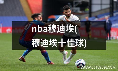 nba穆迪埃(穆迪埃十佳球)
