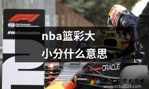 nba篮彩大小分什么意思