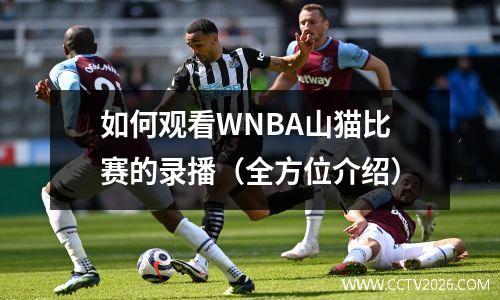 如何观看WNBA山猫比赛的录播（全方位介绍）