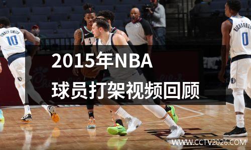 2015年NBA球员打架视频回顾