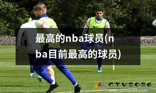 最高的nba球员(nba目前最高的球员)