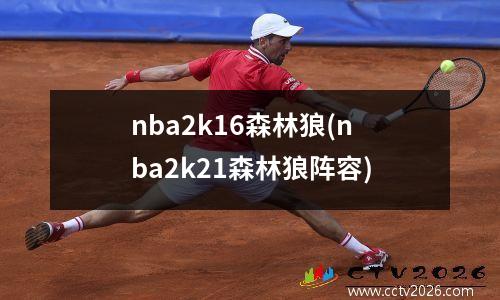 nba2k16森林狼(nba2k21森林狼阵容)