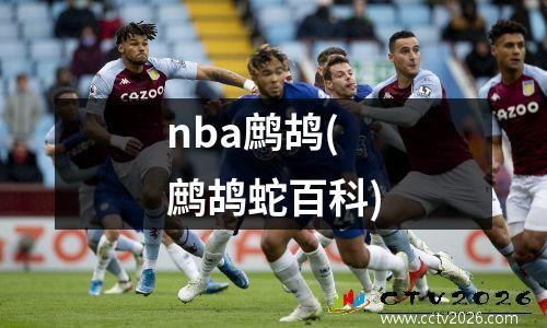 nba鹧鸪(鹧鸪蛇百科)