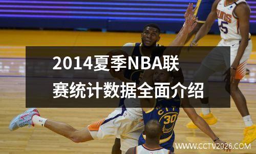 2014夏季NBA联赛统计数据全面介绍