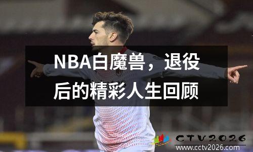 NBA白魔兽，退役后的精彩人生回顾