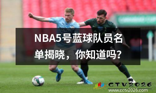 NBA5号蓝球队员名单揭晓，你知道吗？