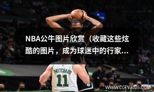 NBA公牛图片欣赏（收藏这些炫酷的图片，成为球迷中的行家）