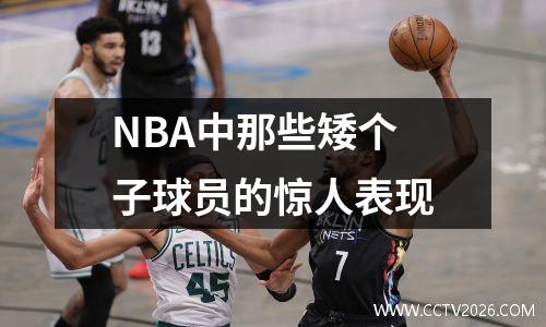 NBA中那些矮个子球员的惊人表现