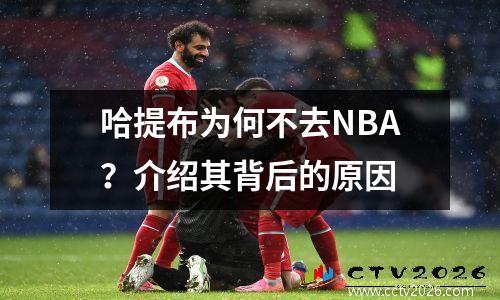 哈提布为何不去NBA？介绍其背后的原因