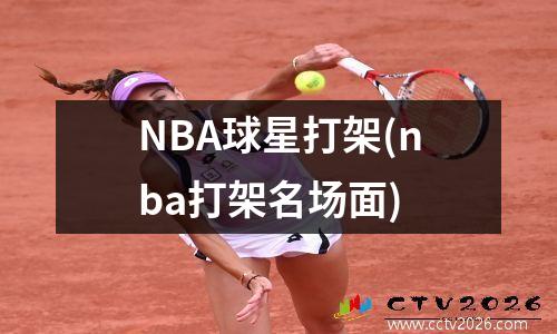 NBA球星打架(nba打架名场面)