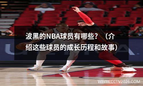 波黑的NBA球员有哪些？（介绍这些球员的成长历程和故事）