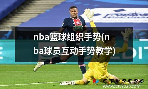 nba篮球组织手势(nba球员互动手势教学)