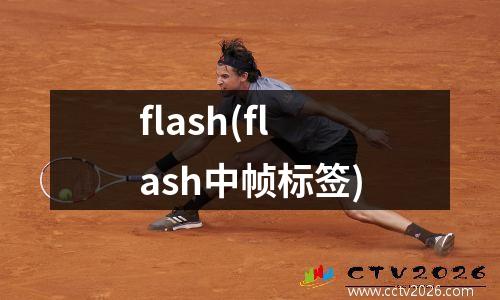 flash(flash中帧标签)