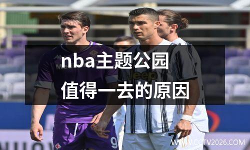 nba主题公园值得一去的原因