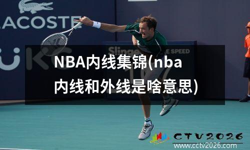 NBA内线集锦(nba内线和外线是啥意思)