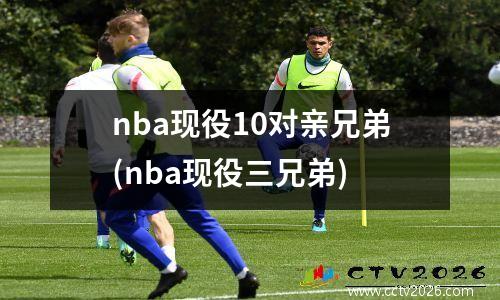 nba现役10对亲兄弟(nba现役三兄弟)