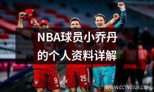 NBA球员小乔丹的个人资料详解
