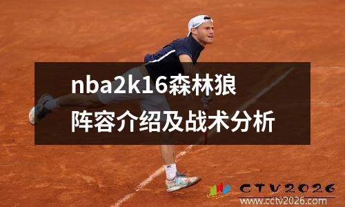 nba2k16森林狼阵容介绍及战术分析
