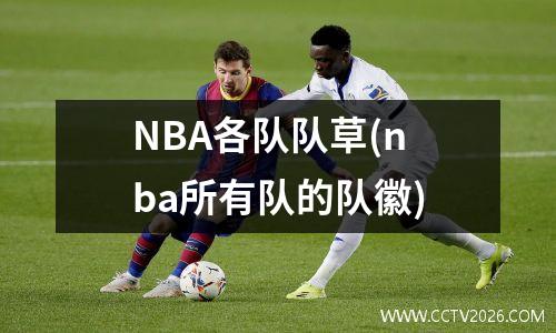 NBA各队队草(nba所有队的队徽)