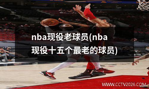 nba现役老球员(nba现役十五个最老的球员)