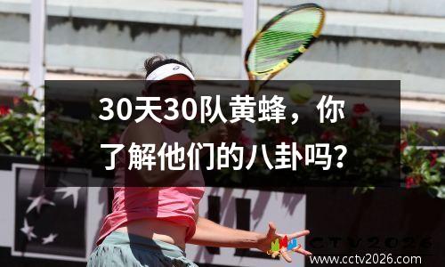 30天30队黄蜂，你了解他们的八卦吗？