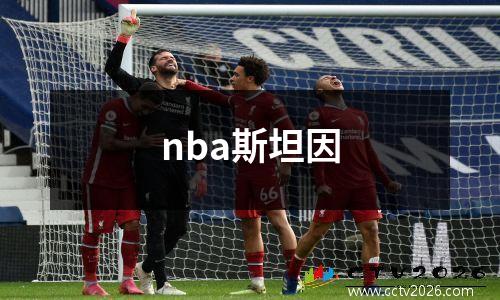 nba斯坦因