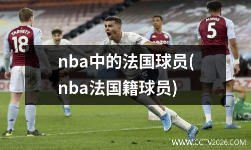 nba中的法国球员(nba法国籍球员)