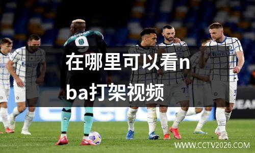 在哪里可以看nba打架视频