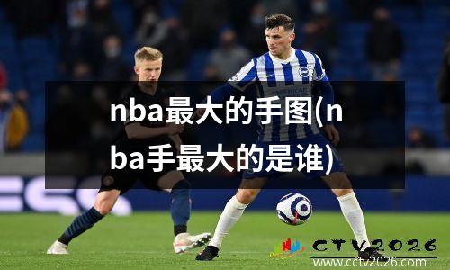 nba最大的手图(nba手最大的是谁)