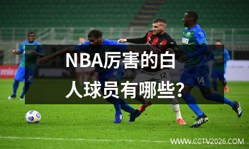 NBA厉害的白人球员有哪些？