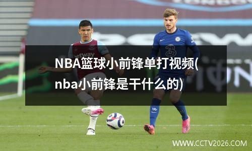 NBA篮球小前锋单打视频(nba小前锋是干什么的)