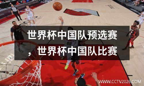 世界杯中国队预选赛，世界杯中国队比赛