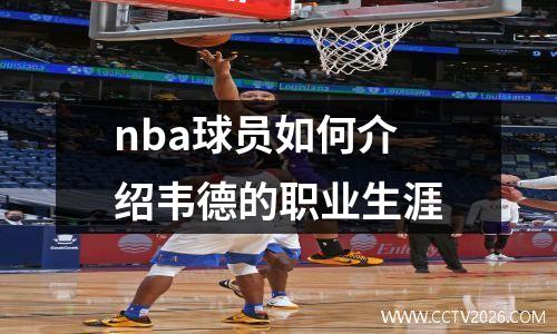 nba球员如何介绍韦德的职业生涯
