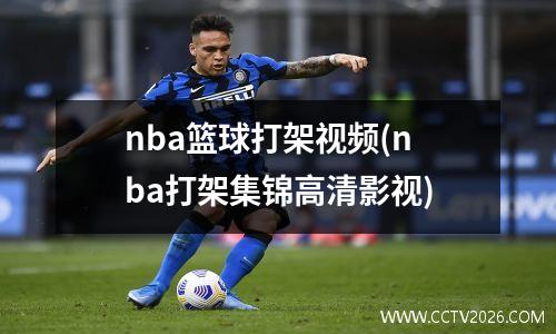 nba篮球打架视频(nba打架集锦高清影视)
