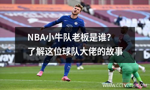 NBA小牛队老板是谁？了解这位球队大佬的故事