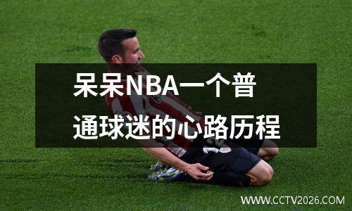 呆呆NBA一个普通球迷的心路历程