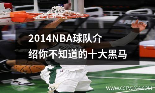 2014NBA球队介绍你不知道的十大黑马